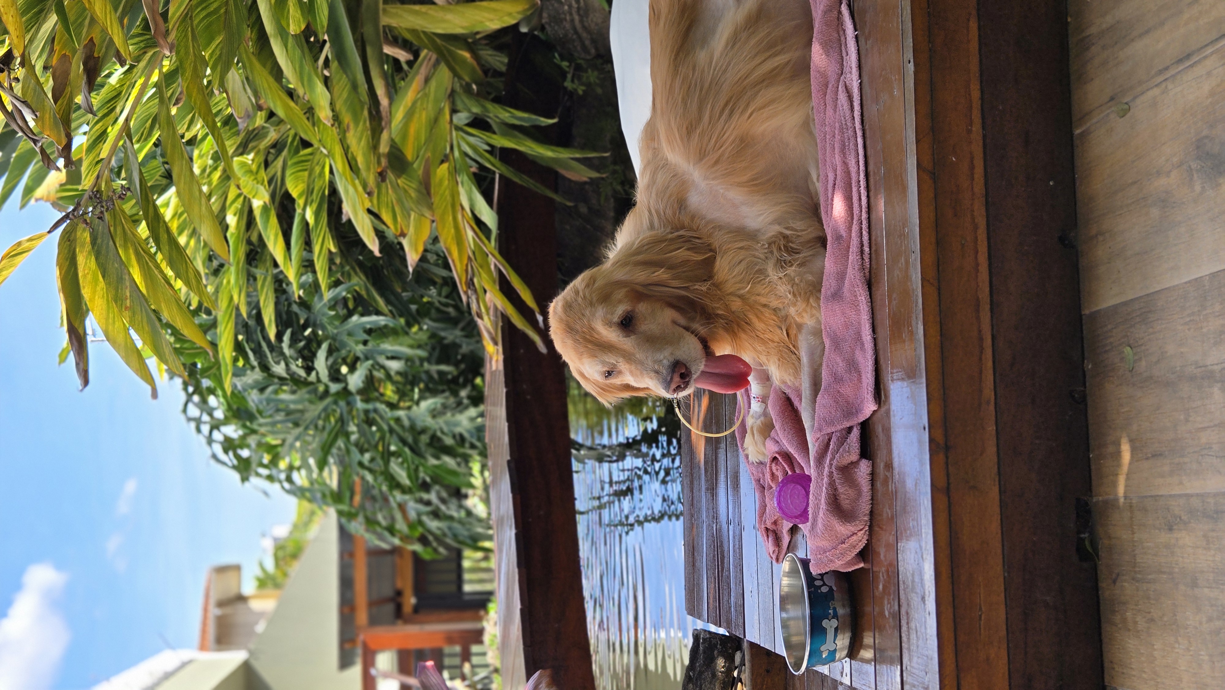 Rifa fixa pra ajudar a Maya :)
