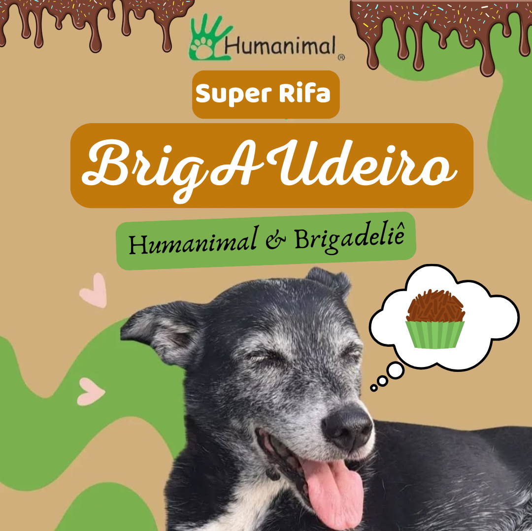 BrigAUdeiro da Humanimal & Brigadeliê 🍫🐶