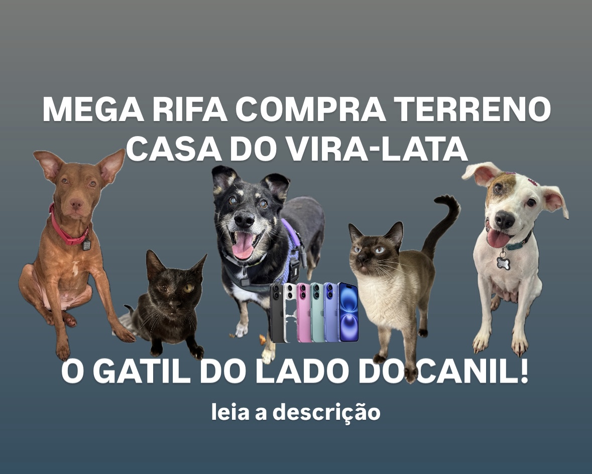 MEGA RIFA PROJETO GATIL