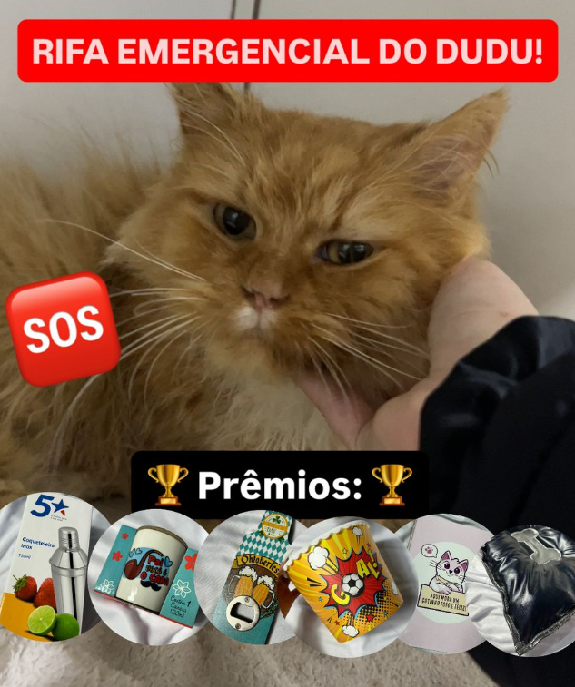 🆘 Rifa emergencial pro Dudu - tratamento e medicações!