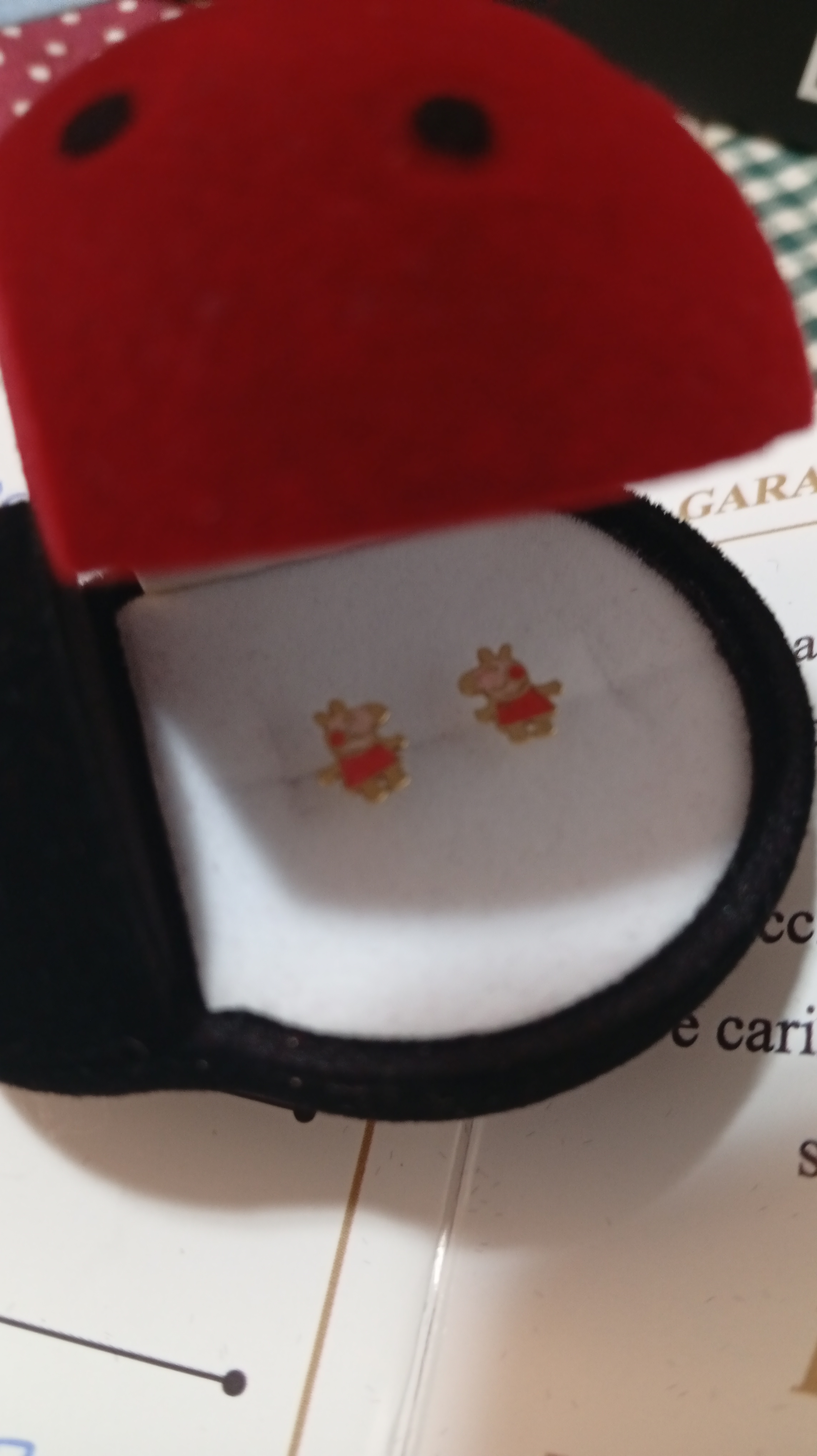 Rifa de Boas Vindas ao Ano do Cuidado - 2 jóias+Pix