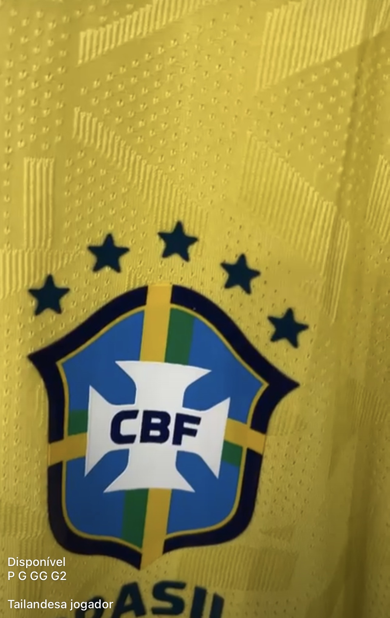 Camisa do Brasil ou 100 no pix