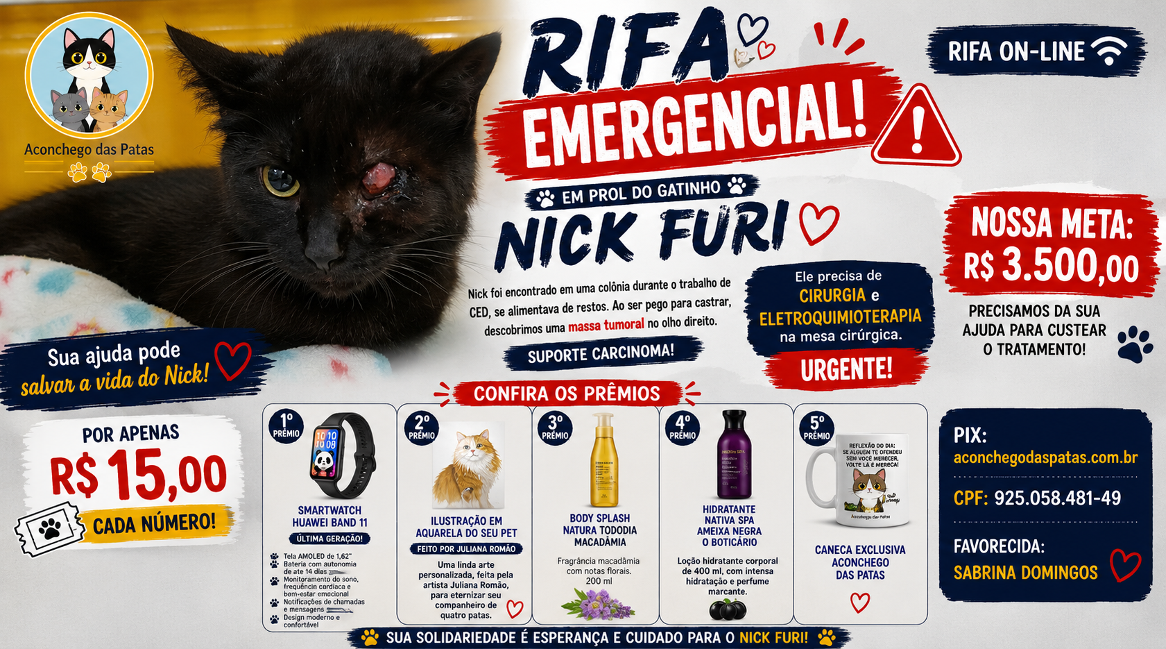 CIRURGIA NICK FURY
