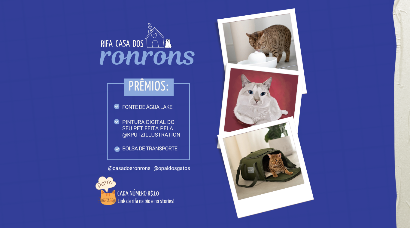 AJUDE A CASA DOS RONRONS!