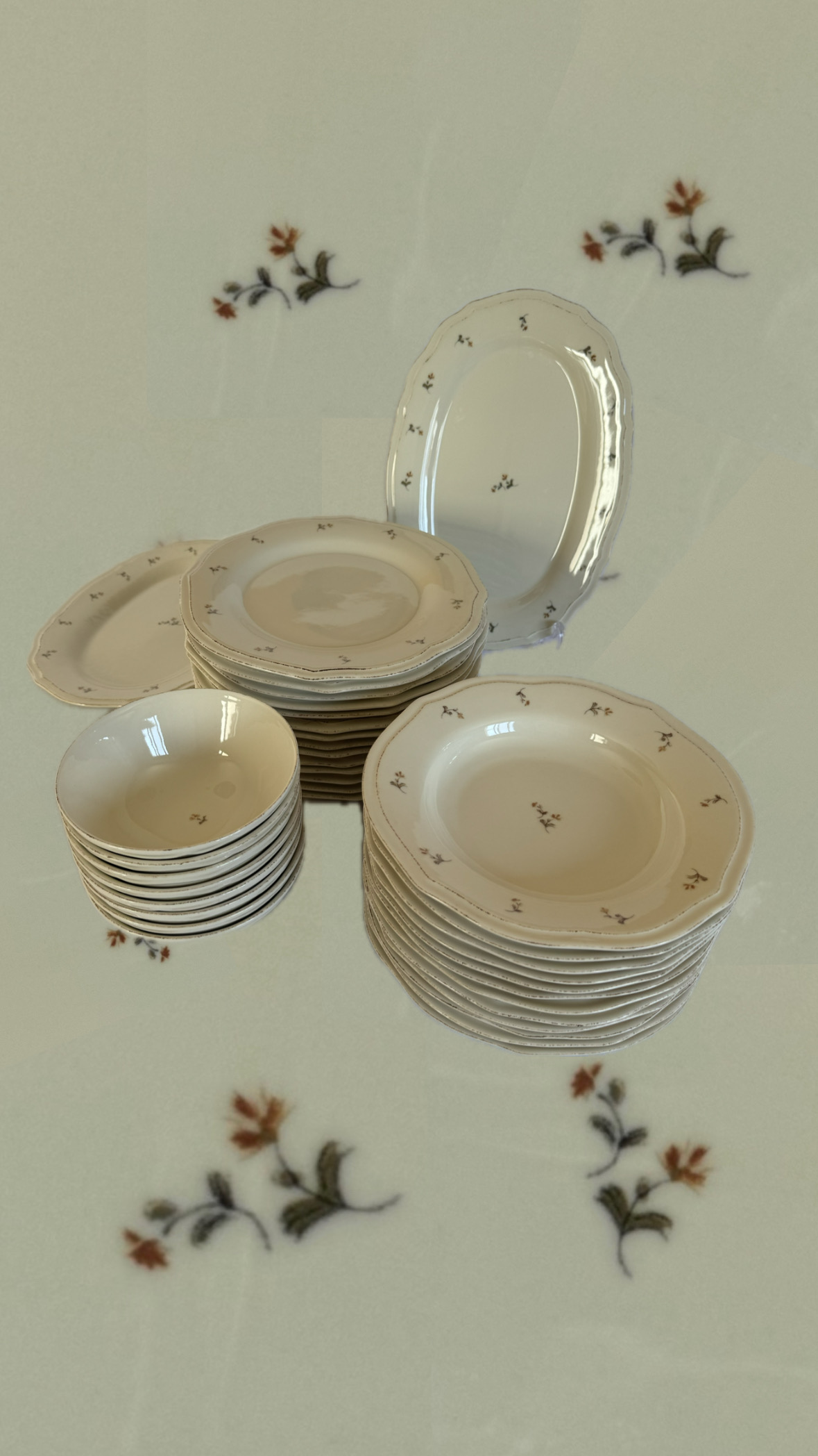 Aparelho de jantar ZH 18 peças