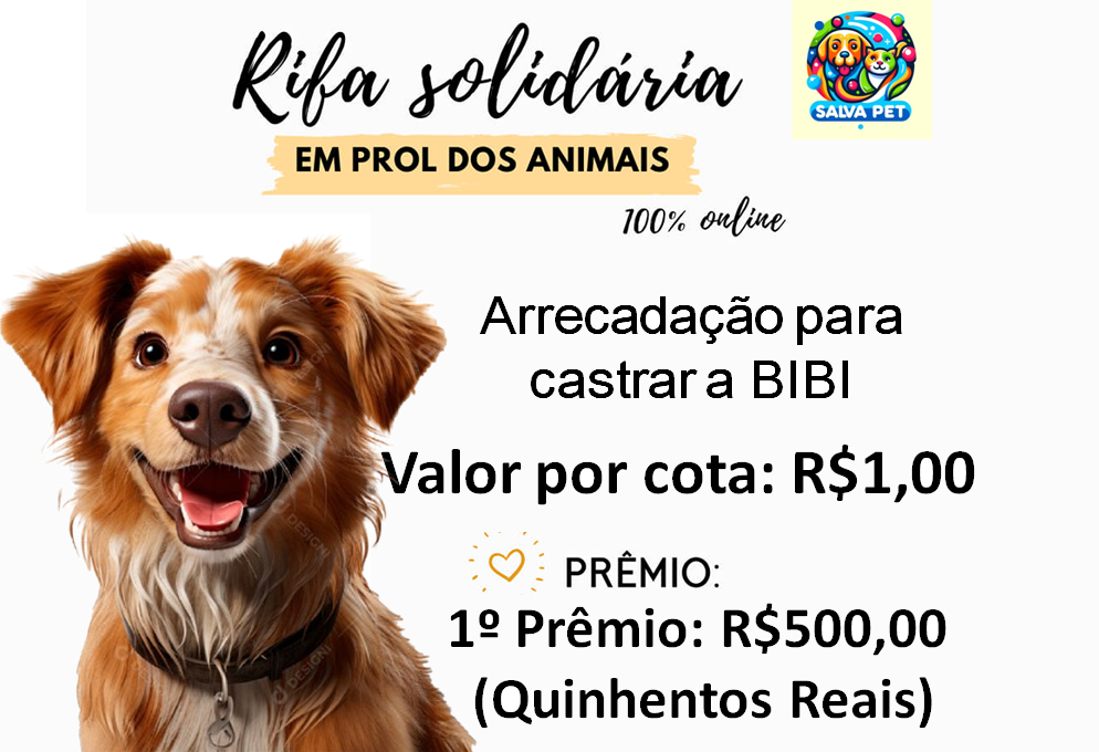Campanha solidária para castrar a BIBI