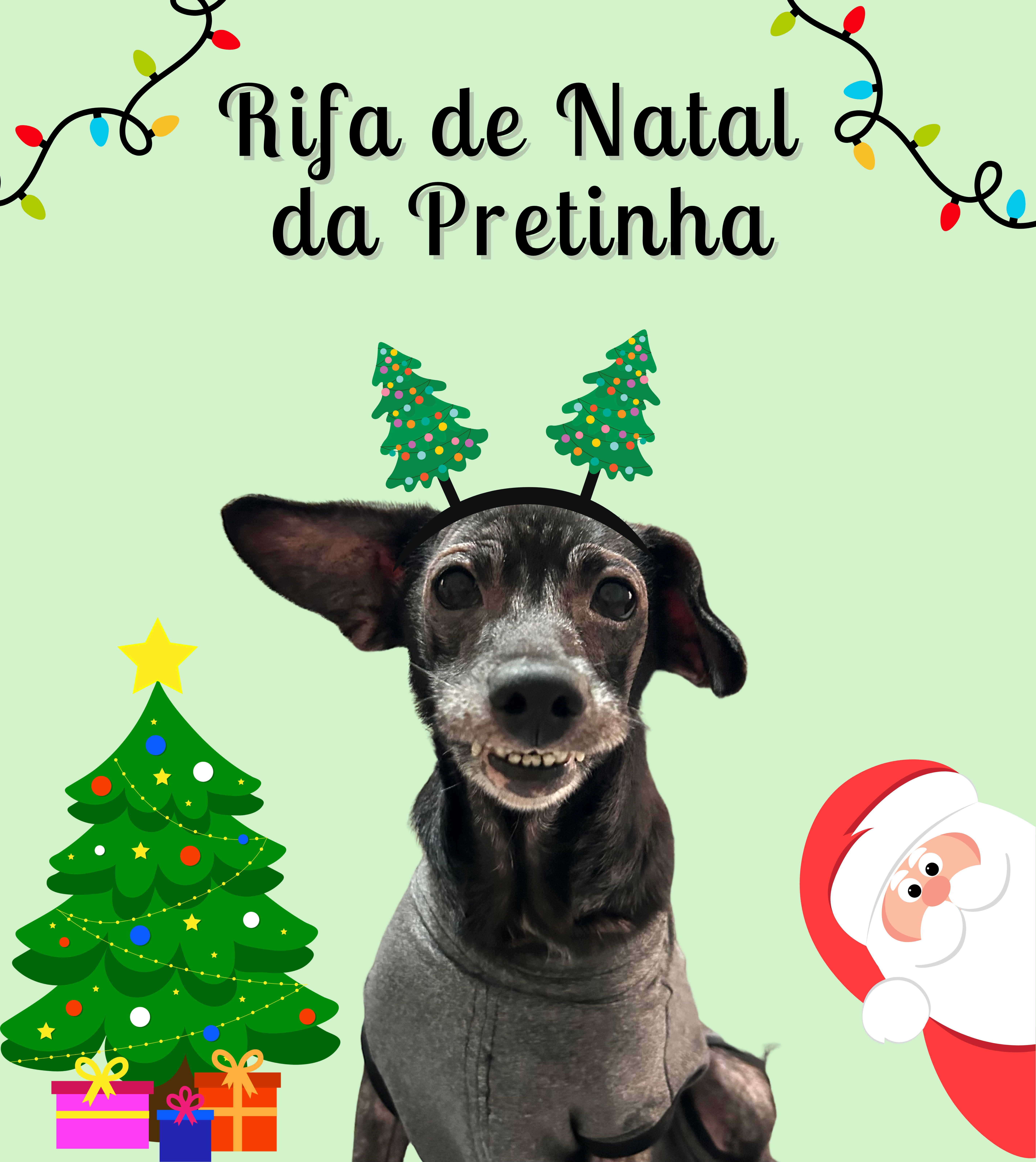 Rifa de Natal da Pretinha