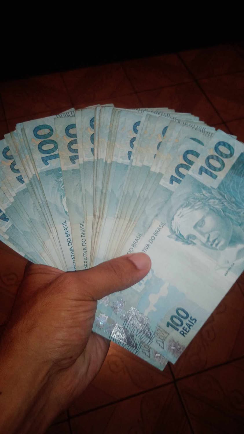 Imagem do organizador