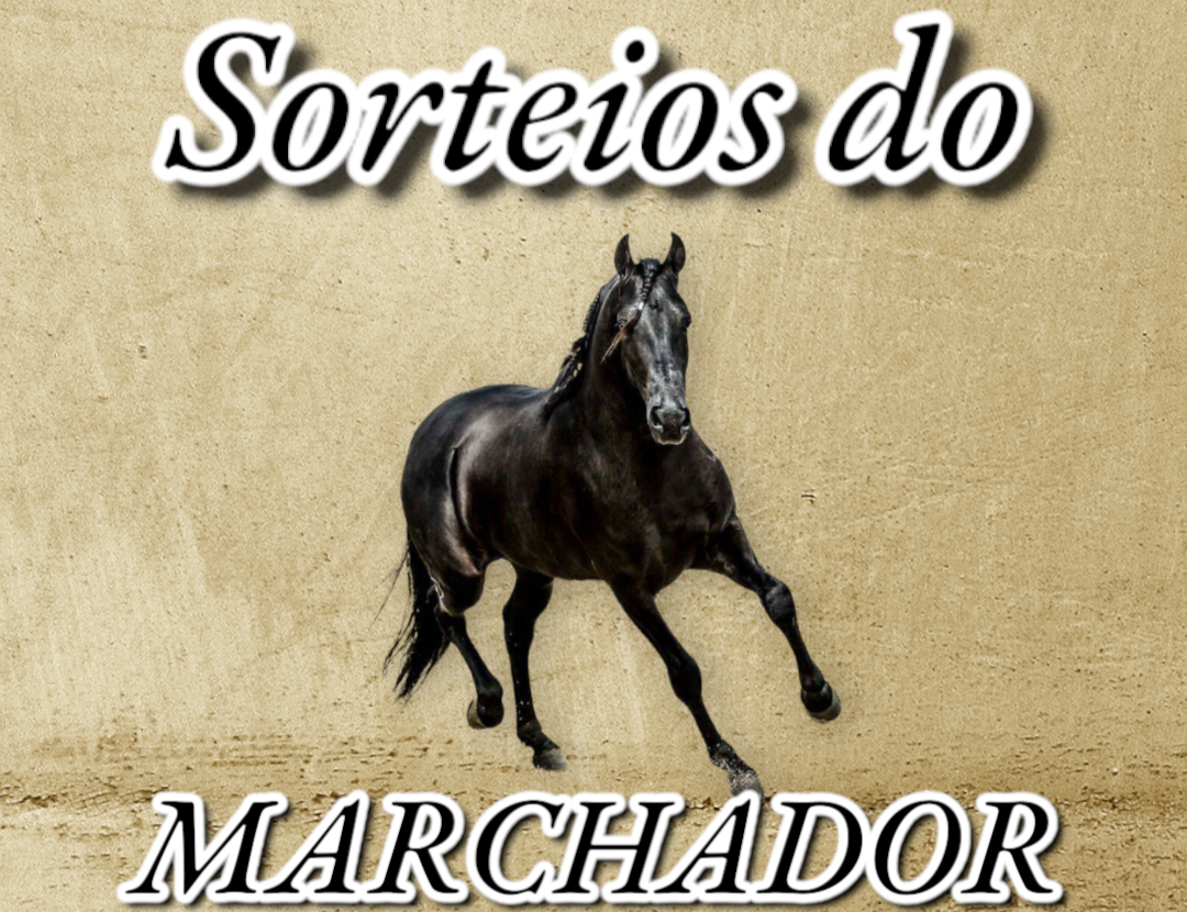 Agro VZ - Mangalarga Marchador