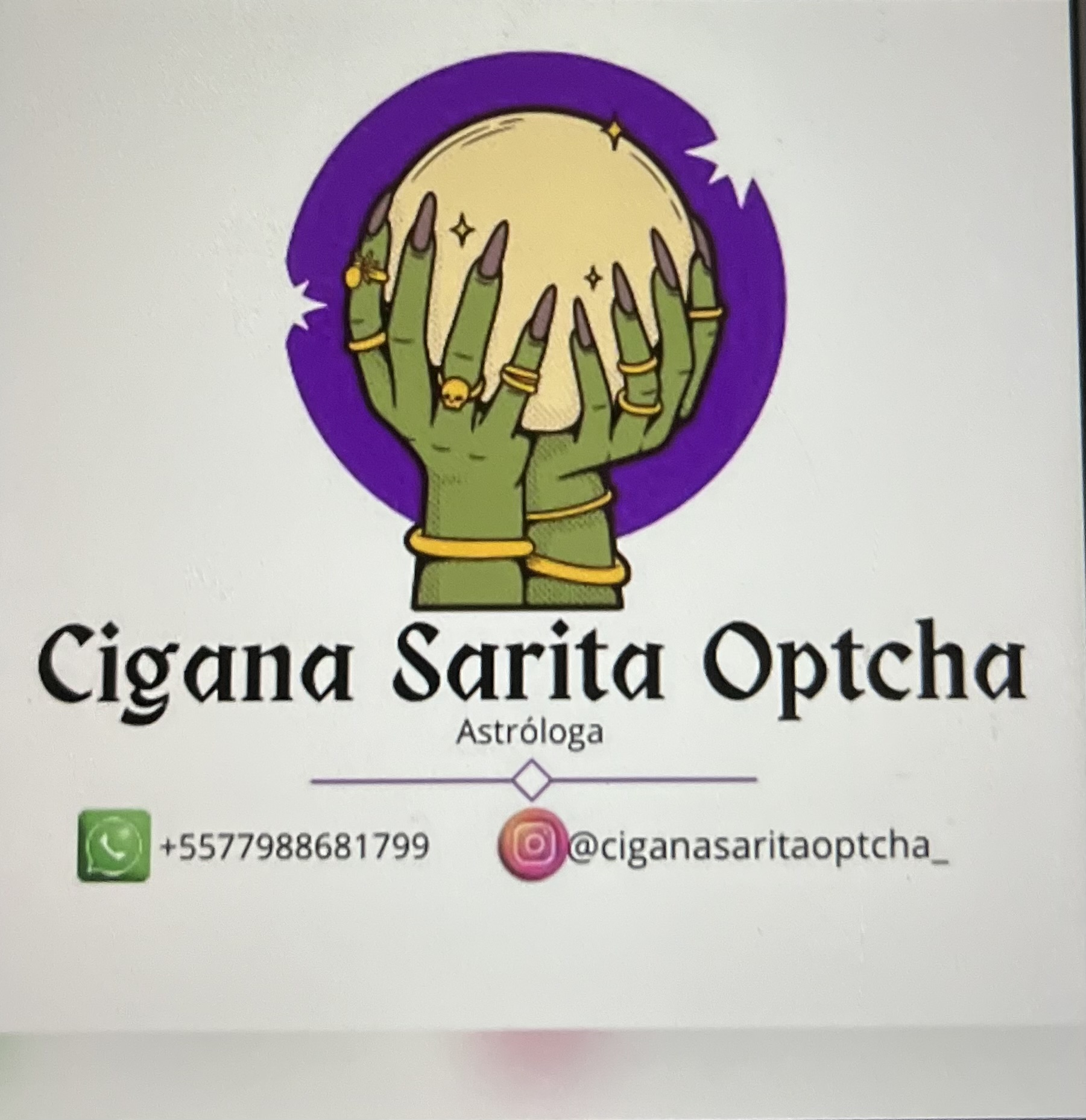 Imagem do organizador