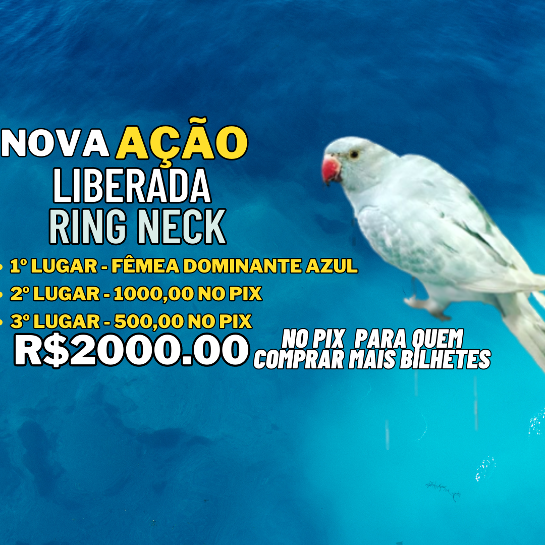 Imagem do organizador