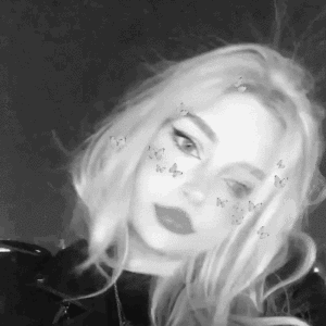 Imagem do organizador