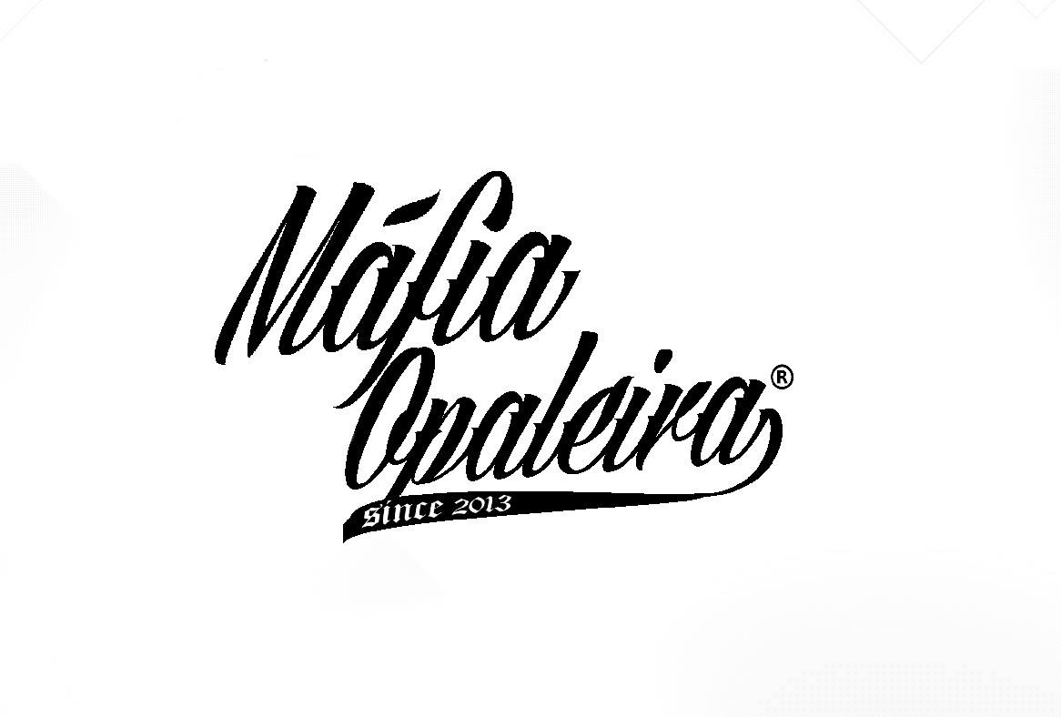 Imagem do organizador