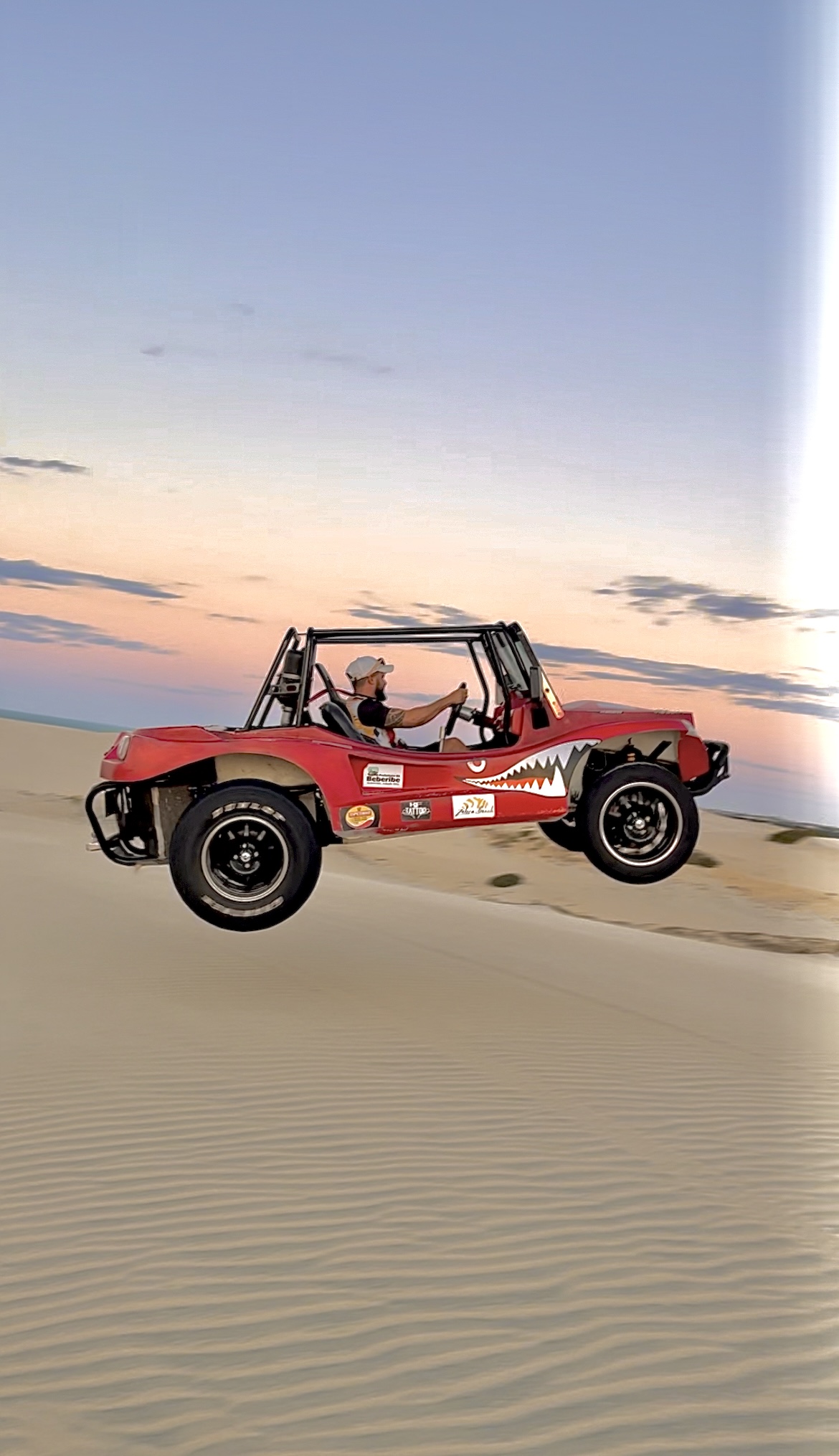 Imagem do organizador