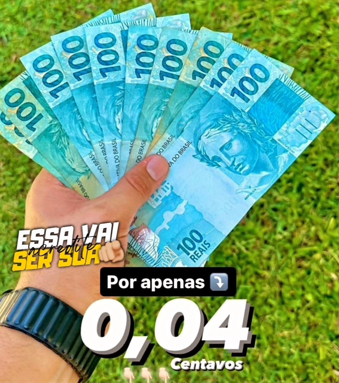 Imagem do organizador