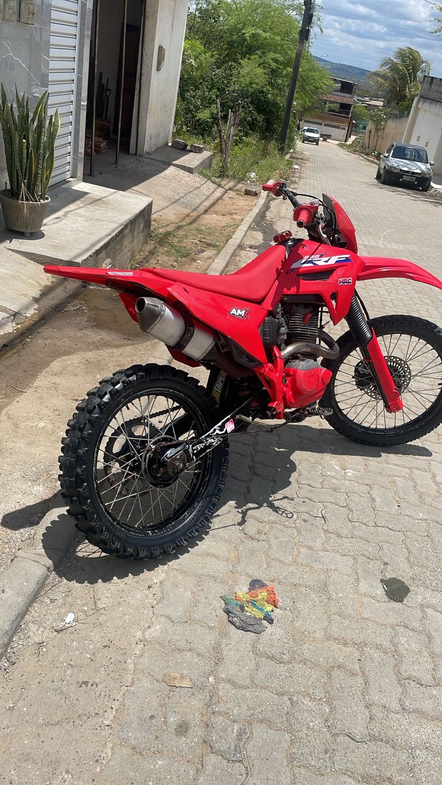 Imagem do organizador