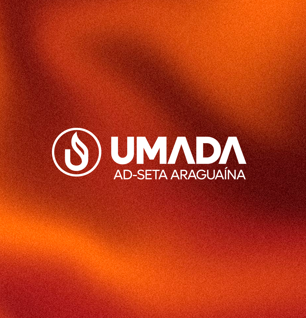 Imagem do organizador